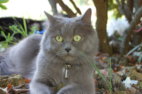 meine süße Maus.jpg